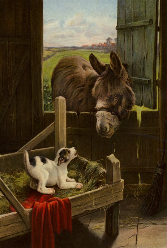 De hond in de kribbe door English School
