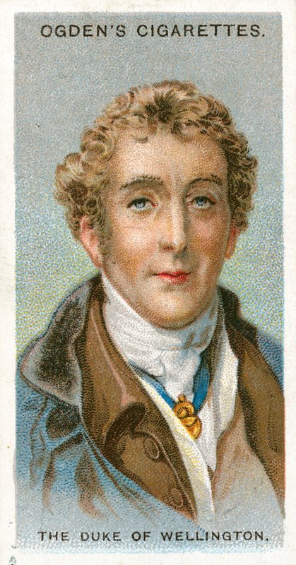 De Hertog van Wellington door English School