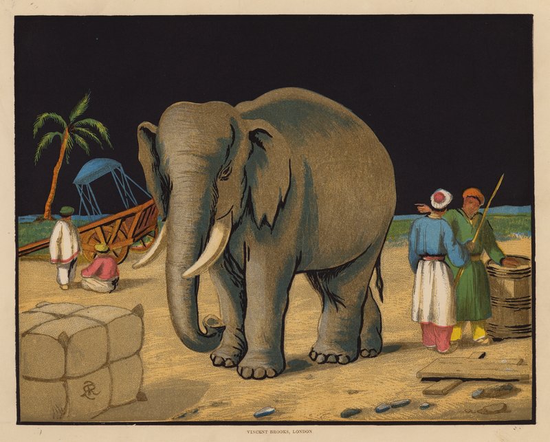 De Olifant door English School