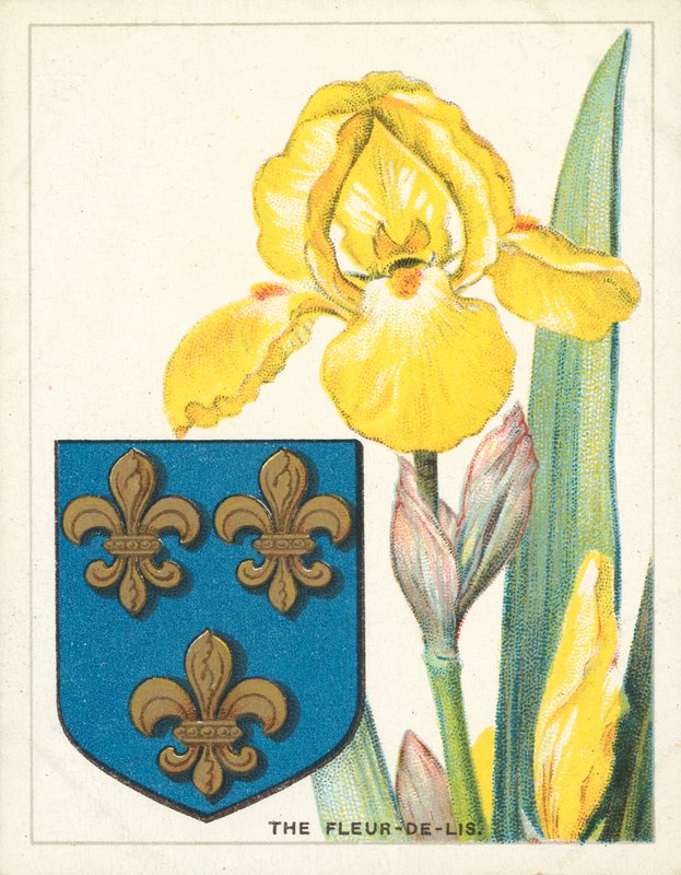 De Fleur-de-lis (chromolitho) door English School