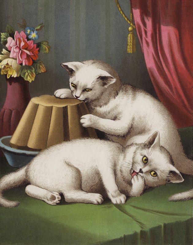 Het Gulzige Kitten door English School