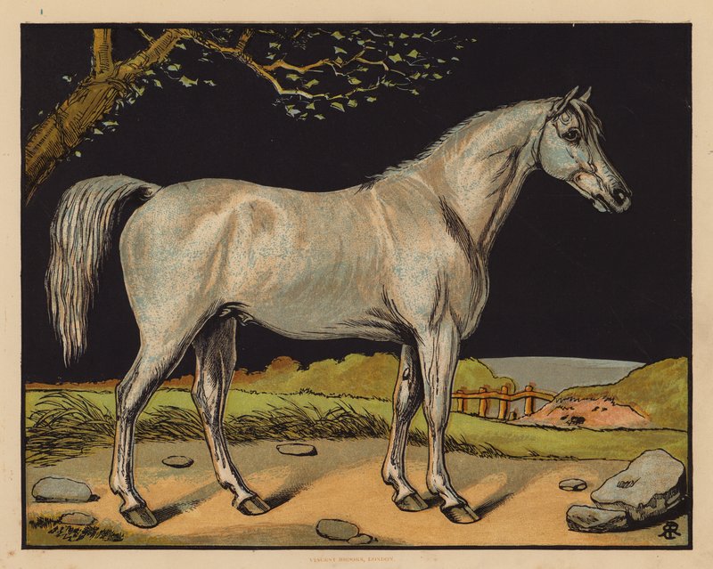 Het paard door English School