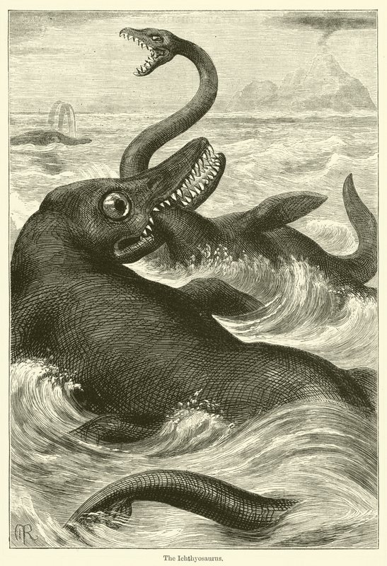 De Ichthyosaurus (gravure) door English School
