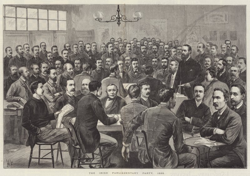 De Ierse parlementaire partij door English School