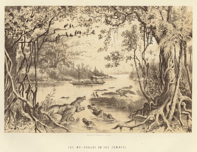 De Ma-Robert op de Zambezi door English School