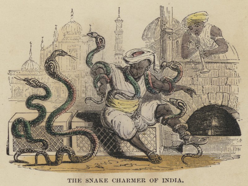 De slangenbezweerder van India (gekleurde gravure) door English School
