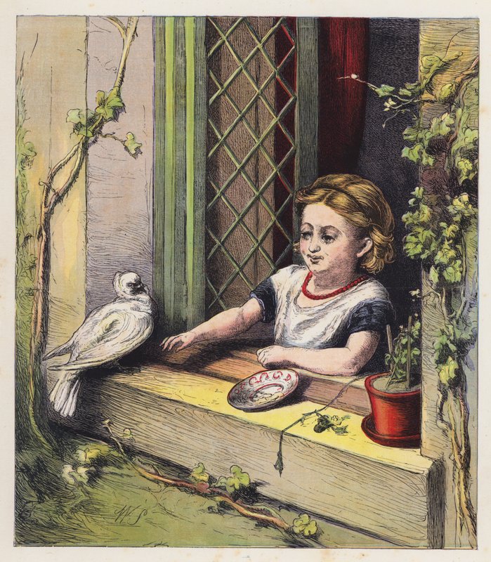 De Witte Duif door English School