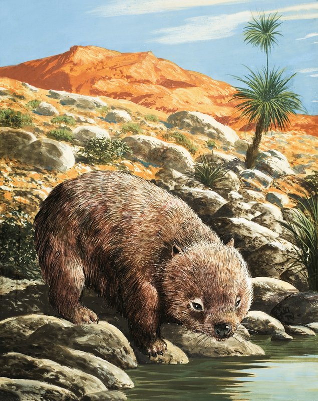 De Wombat door English School