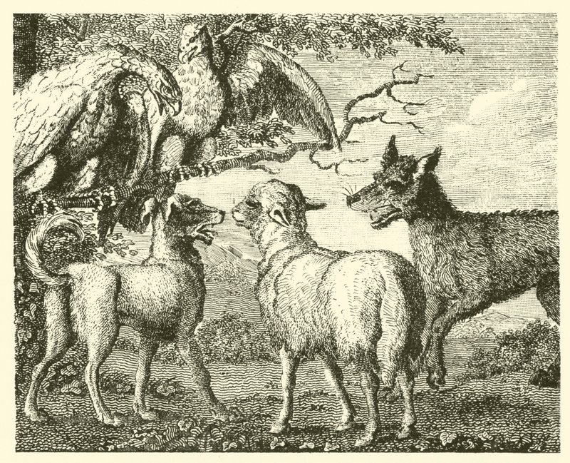 De hond en het schaap door English School