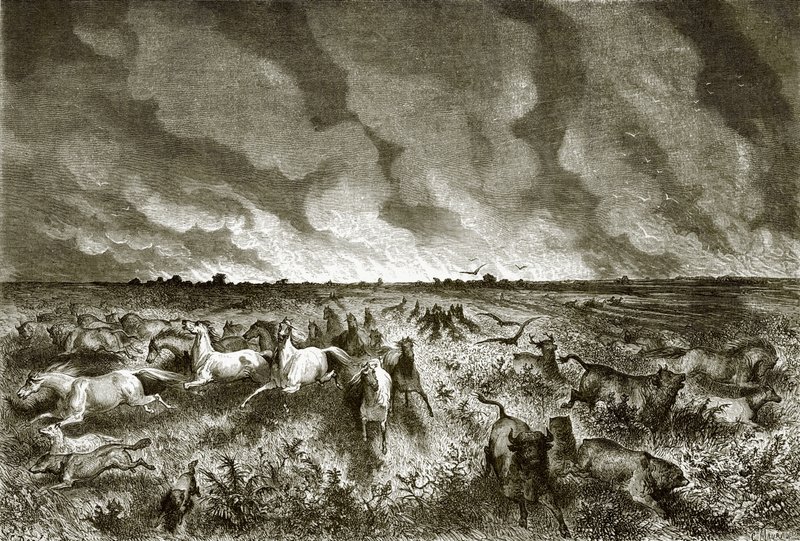 De prairie in brand door English School