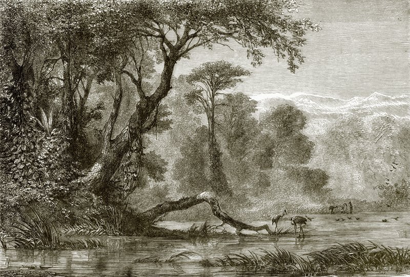 De rivier Phasis door English School