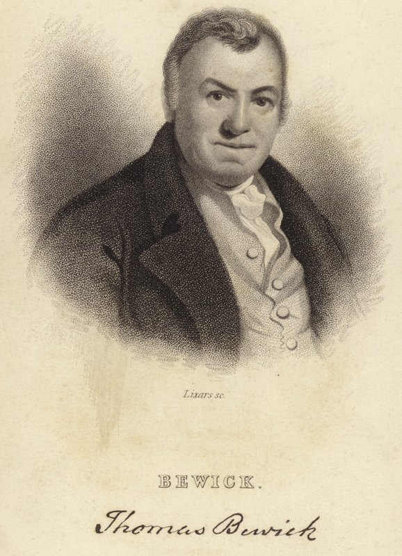 Thomas Bewick door English School