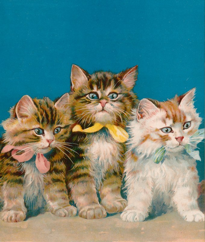 Drie kleine kittens door English School