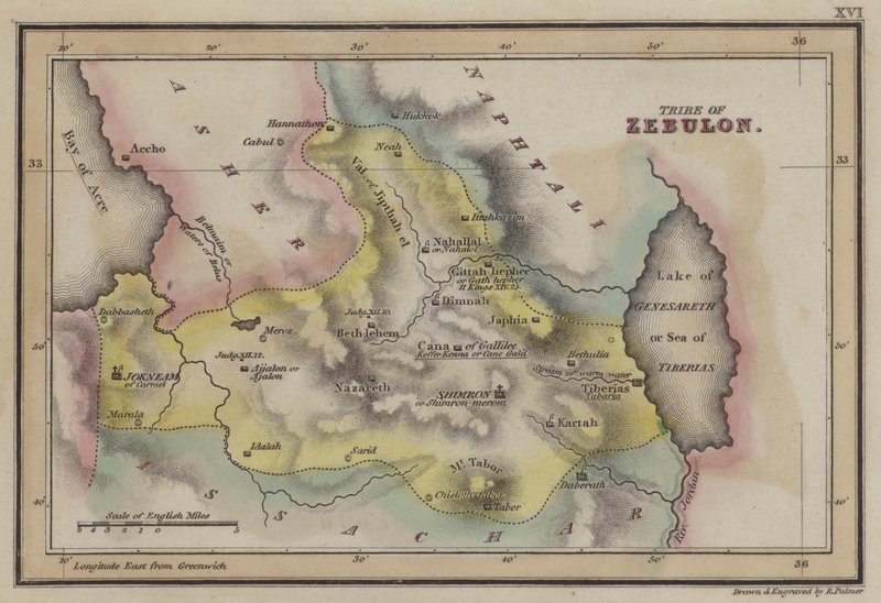 Stam van Zebulon (gekleurde gravure) door English School