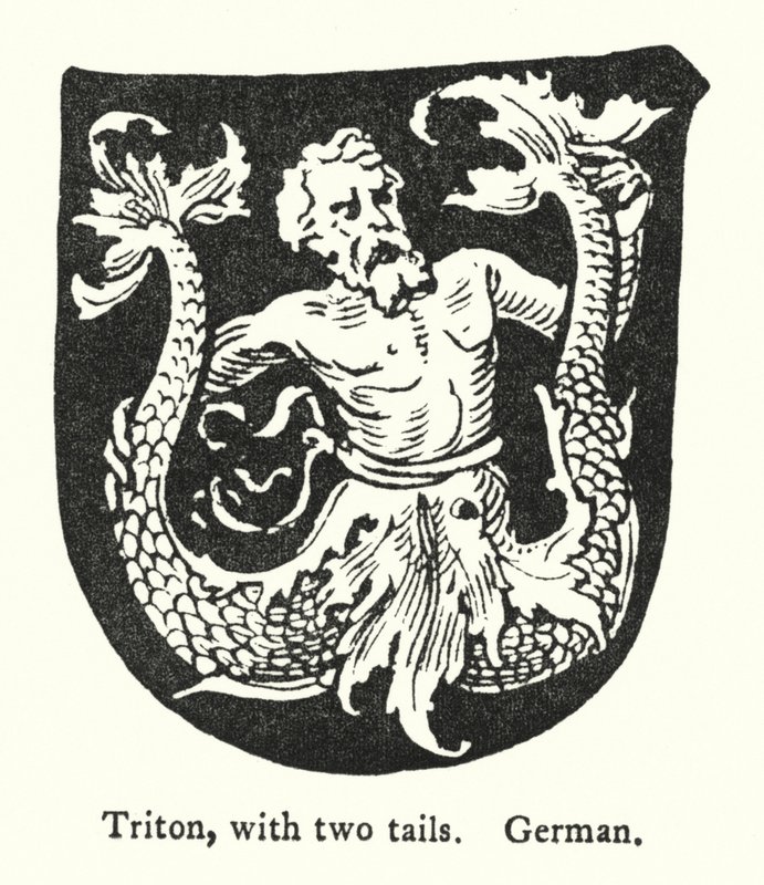 Triton, met twee staarten, Duits door English School