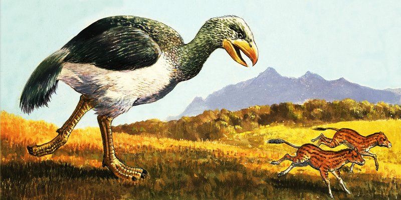 Ongeïdentificeerd prehistorisch dier door English School