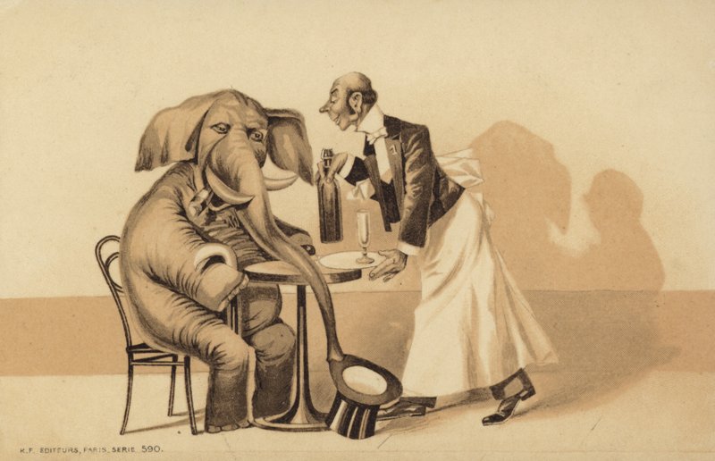 Ober bedient een olifant door English School