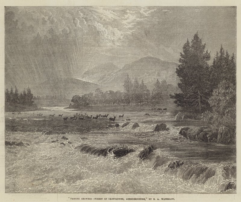 Voorbijgaande Buien, Bos van Glentanner, Aberdeenshire door Ernest Albert Waterlow