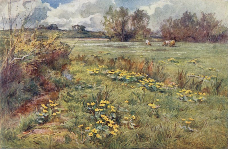 Padloze velden door Ernest Benger or Berenger