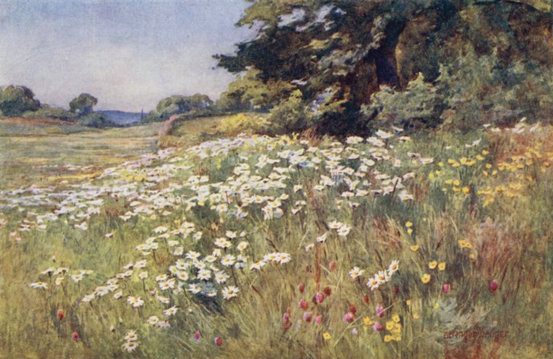 Zonneschijn in Weideland door Ernest Benger or Berenger
