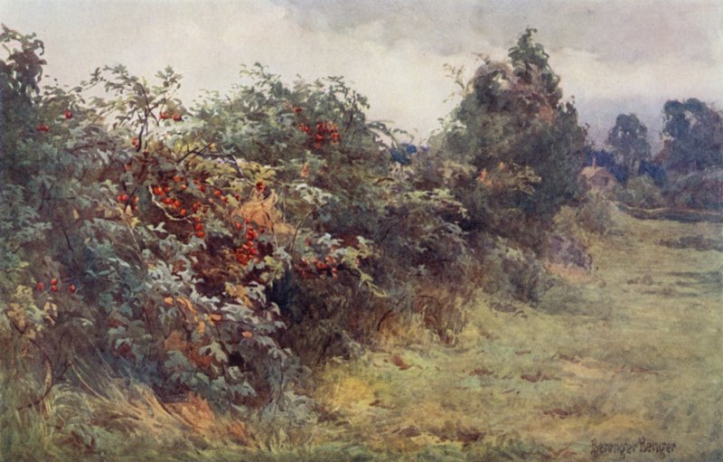 De openbaring van rijpheid door Ernest Benger or Berenger