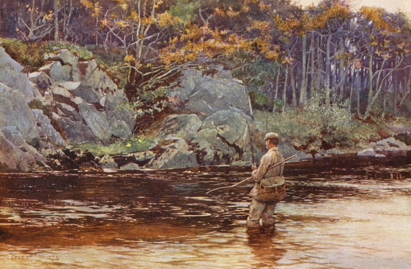 Forelvissen in Galloway door Ernest Edward Briggs