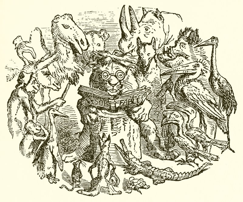 Aesopus