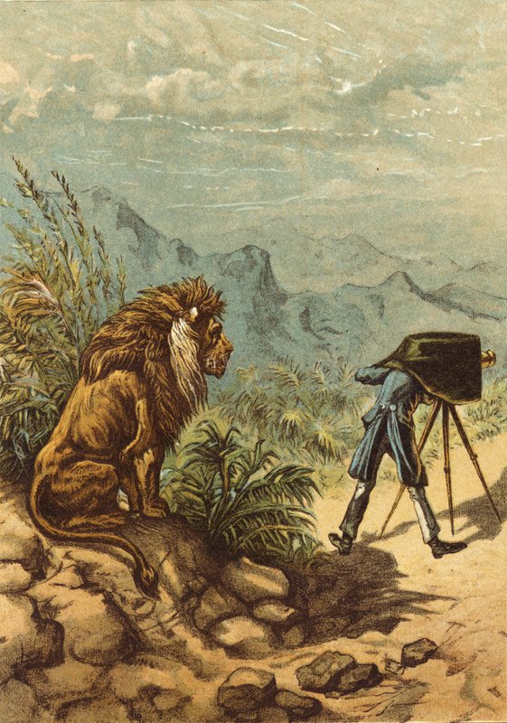 Veelbelovende vooruitzichten, leeuw observeert fotograaf (chromolitho) door Ernest Henry Griset