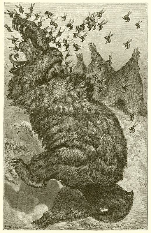 De Beer en de Bijenkorven door Ernest Henry Griset