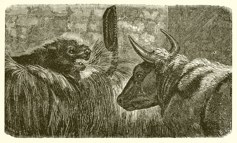 De hond in de kribbe door Ernest Henry Griset
