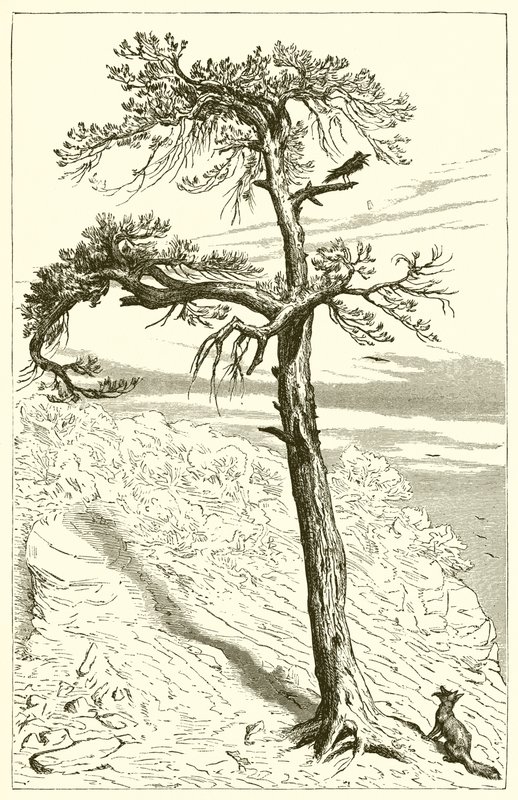 De Vos en de Bemanning door Ernest Henry Griset