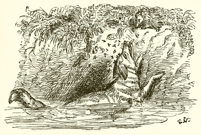 De vos en de egel door Ernest Henry Griset