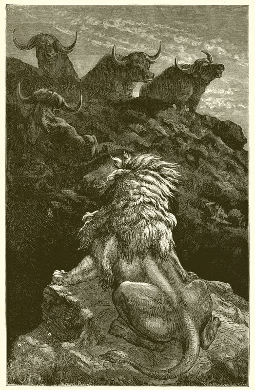 De Leeuw en de Vier Stieren door Ernest Henry Griset