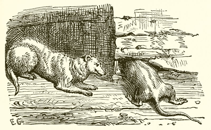 De Muis en de Wezel door Ernest Henry Griset