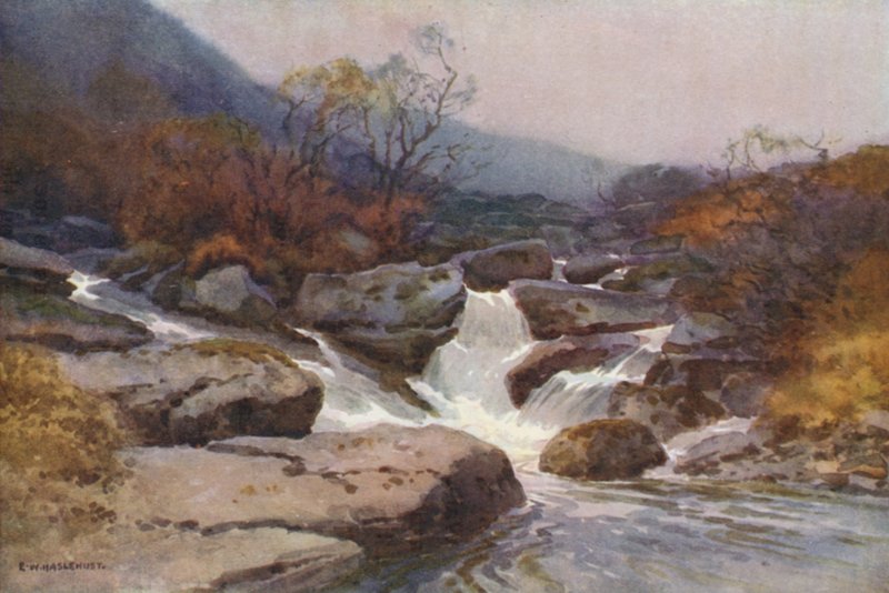Een Dartmoor Stroom (kleur litho) door Ernest William Haslehust