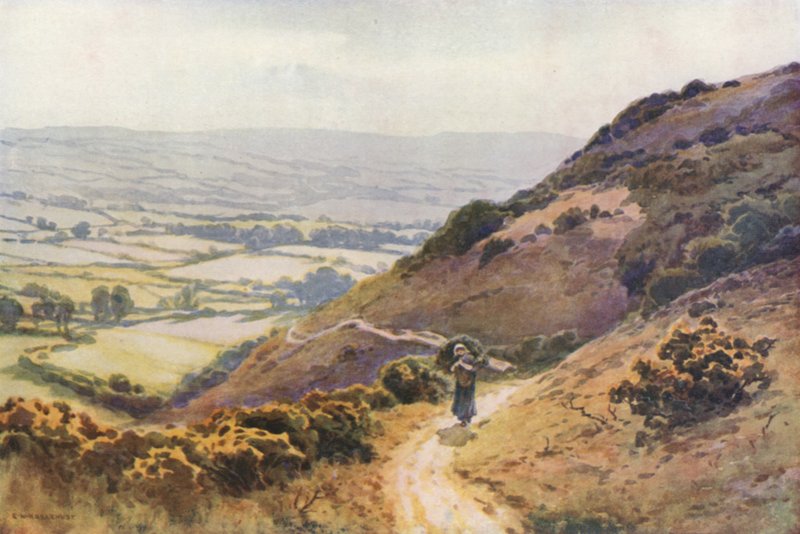 Ballard Down, Swanage door Ernest William Haslehust