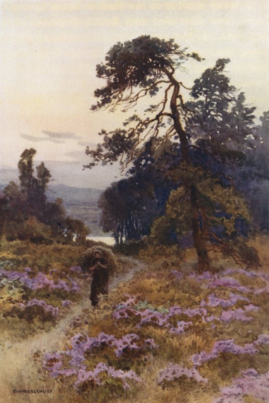 Harlow Moor, Harrogate door Ernest William Haslehust