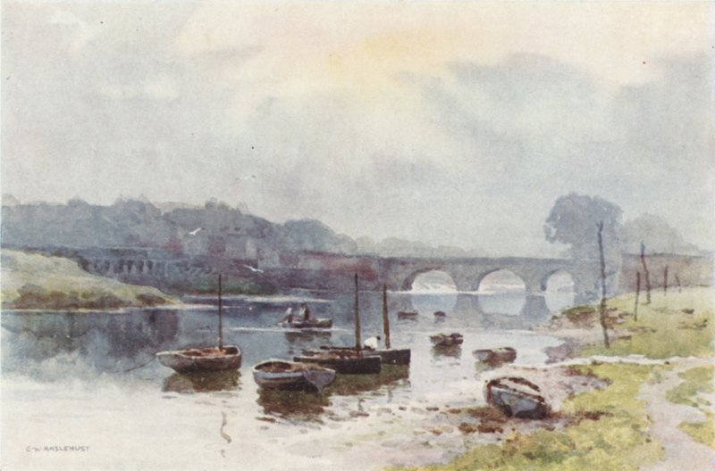Zalmvissers in Chester door Ernest William Haslehust