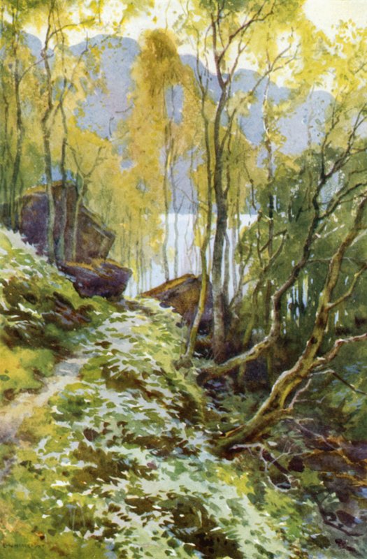 De oude pas, Trossachs (kleur litho) door Ernest William Haslehust