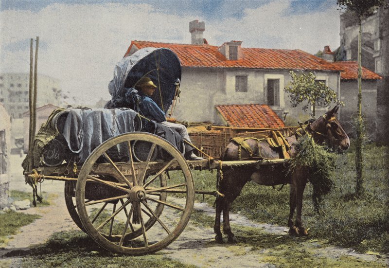 Omgeving van Rome, voerman die wijn vervoert door European Photographer