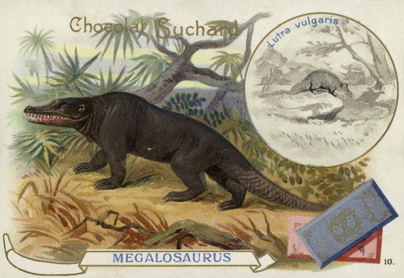 Megalosaurus en otter door European School