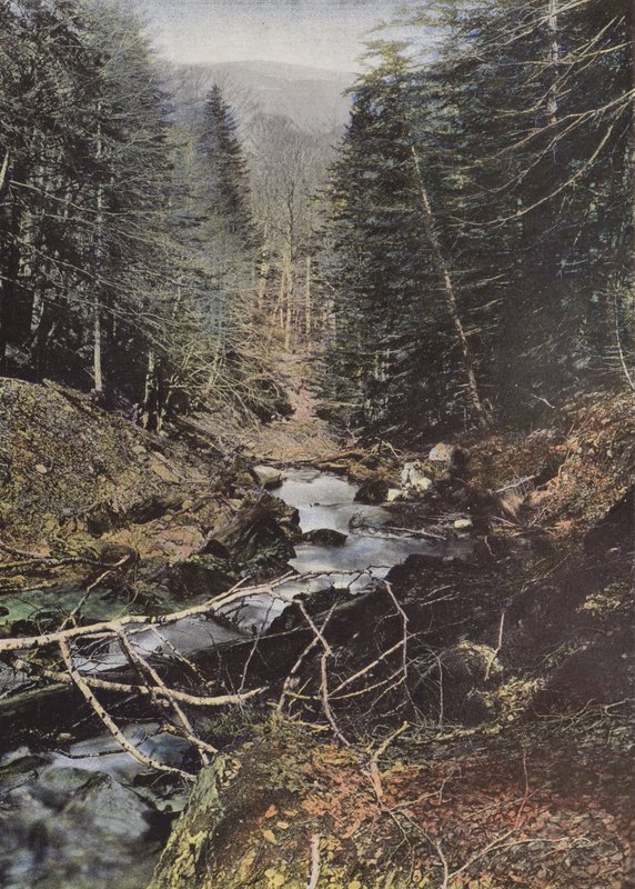 Luchon, Haute Vallee De La Pique door European Photographer