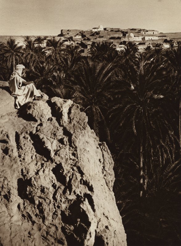Nefta Oasis door European Photographer