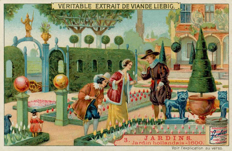 Een Nederlandse Tuin uit de 1600s door European School