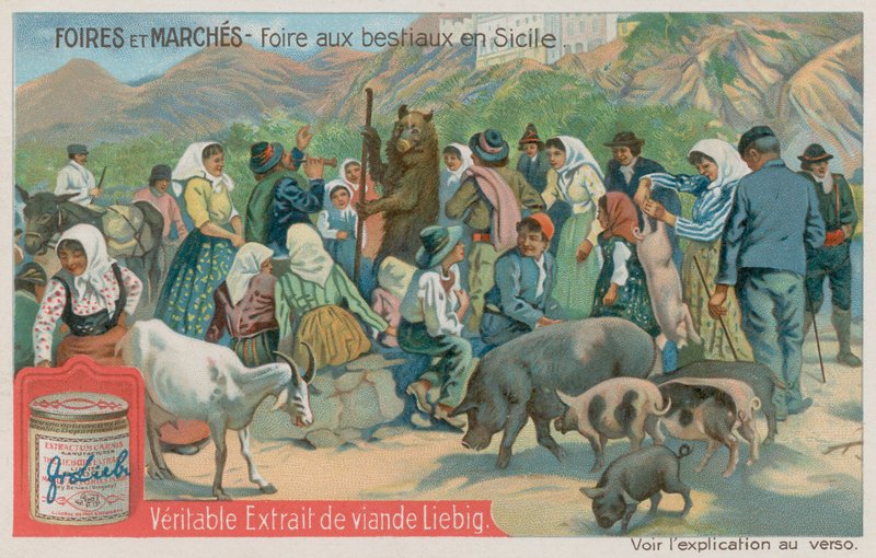 Dierenmarkt in Sicilië door European School
