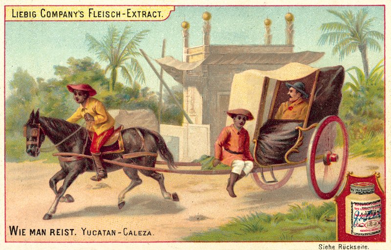 Caleza in Yucatan door European School