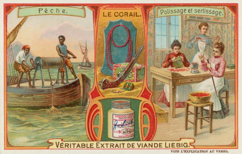 Koraal door European School