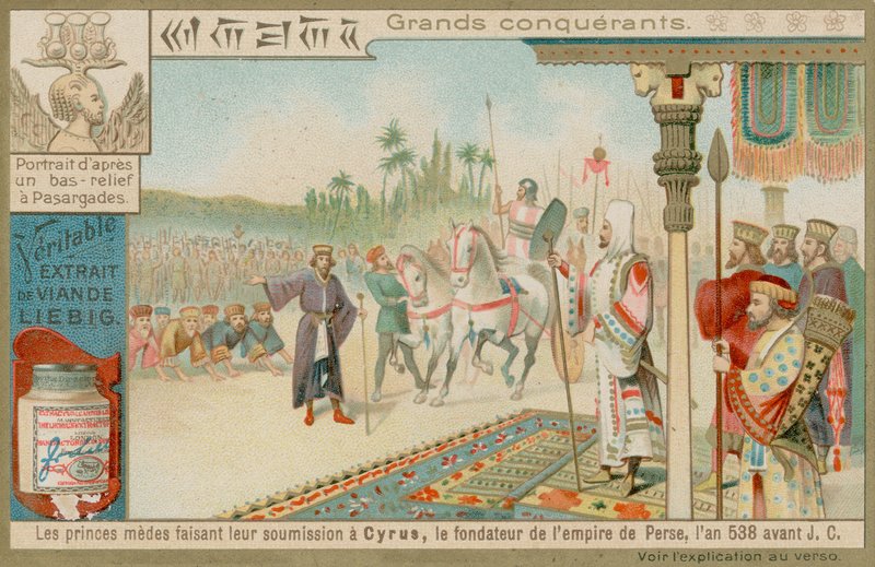 Cyrus de Grote door European School