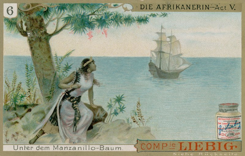 Die Afrikanerin: Acte 5 door European School