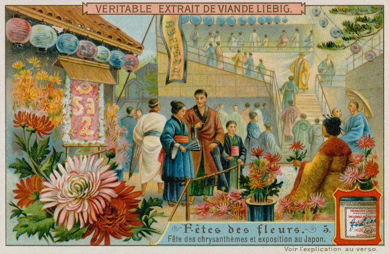 Chrysantenfestivals in Japan door European School